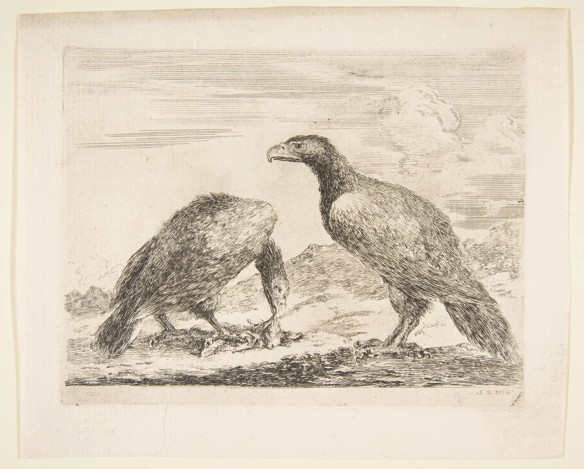 Two eagles, one devouring a lamb, from 'Eagles' (Les aigles) by Stefano della Bella, print, 1646-1656
