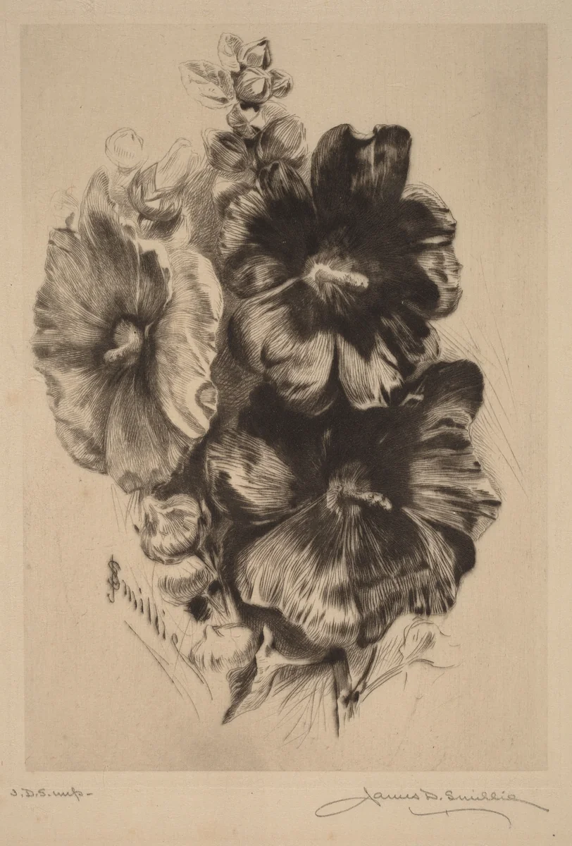 Dark Single Hollyhocks by James David Smillie, print, 1890