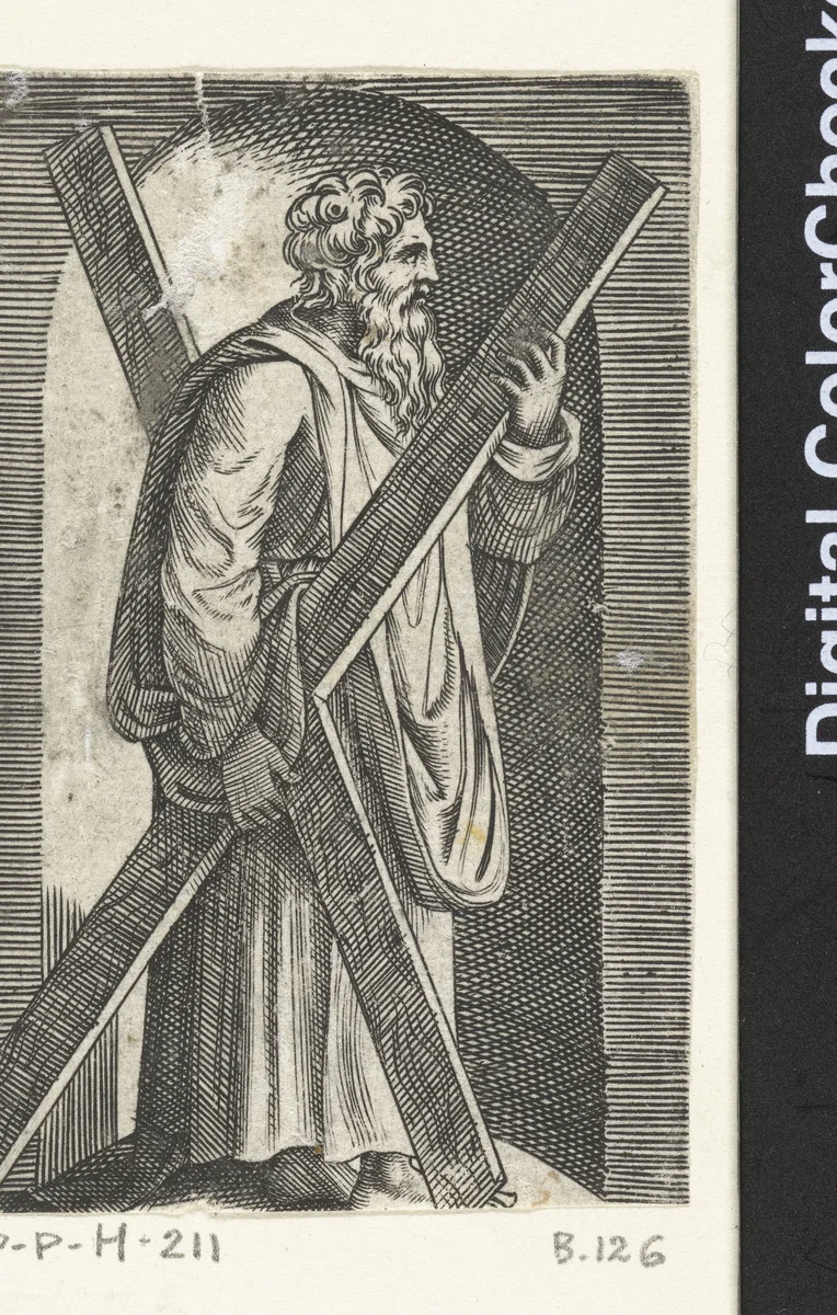 Apostel Andreas met kruis staand in nis by anonymous, print, 1517-1577