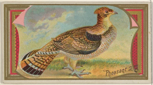Pheasant, from the Game Birds series (N13) for Allen & Ginter Cigarettes Brands by Allen & Ginter, print, 1889