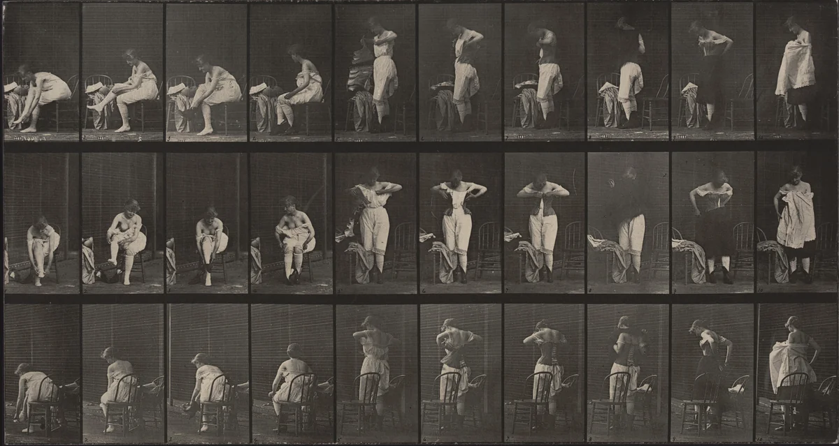 Miscellaneous Phases of the Toilet: Plate 494 from Animal Locomotion (1887) by Eadweard Muybridge, photograph, 1884
