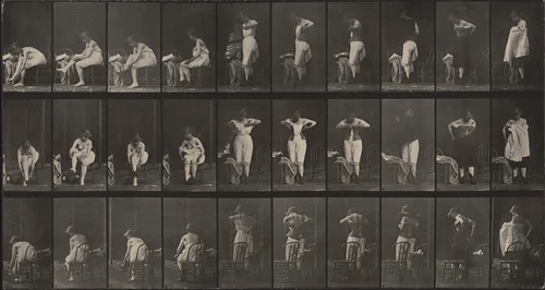 Miscellaneous Phases of the Toilet: Plate 494 from Animal Locomotion (1887) by Eadweard Muybridge, photograph, 1884