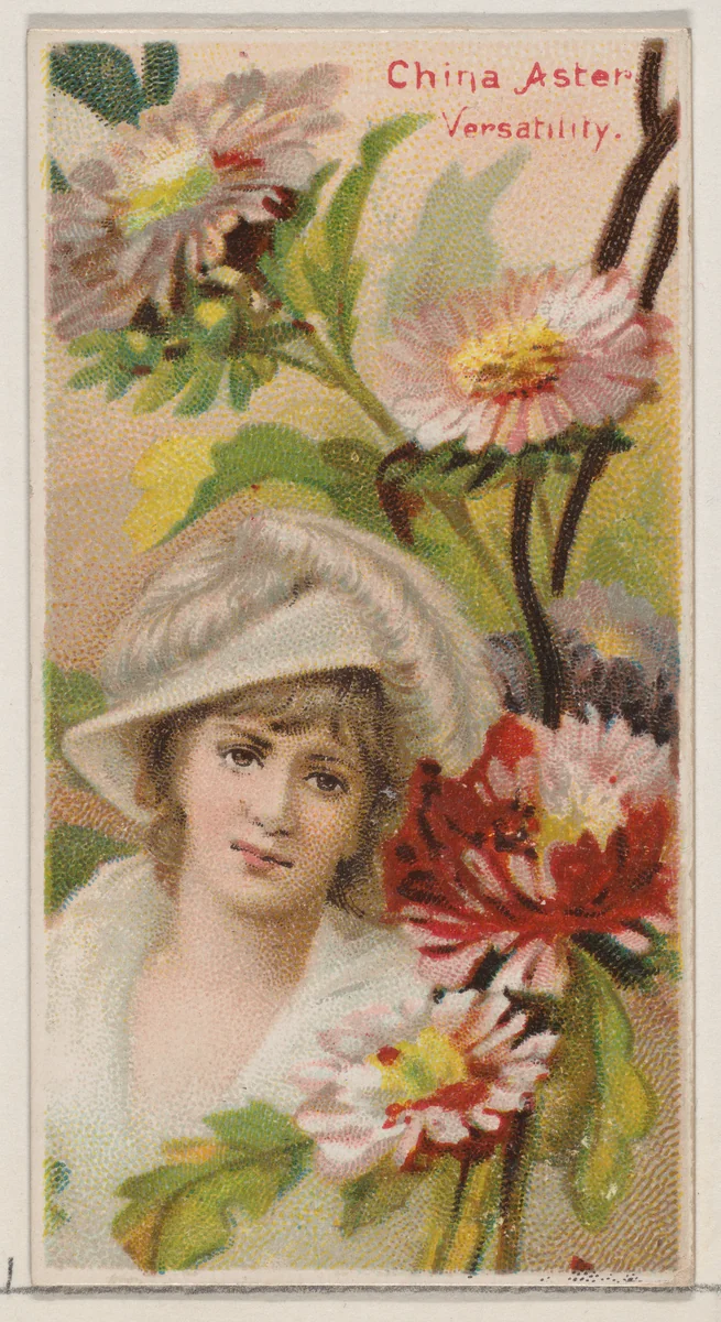 China Aster: Versatility, from the series Floral Beauties and Language of Flowers (N75) for Duke brand cigarettes by American Tobacco Company, print, 1892