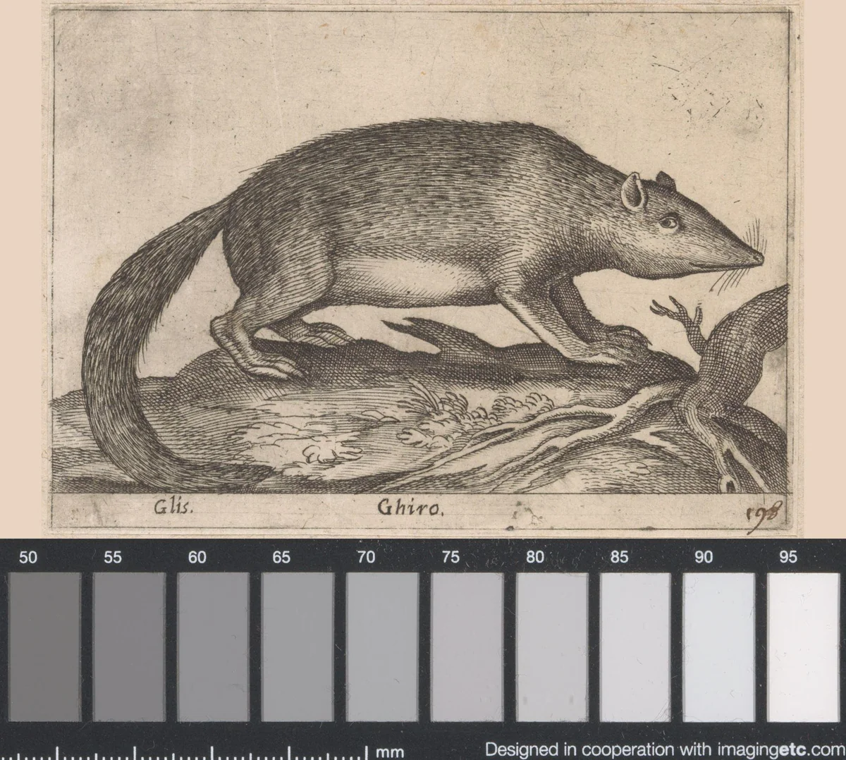 Hazelmuis by Antonio Tempesta, print, 1565-1630