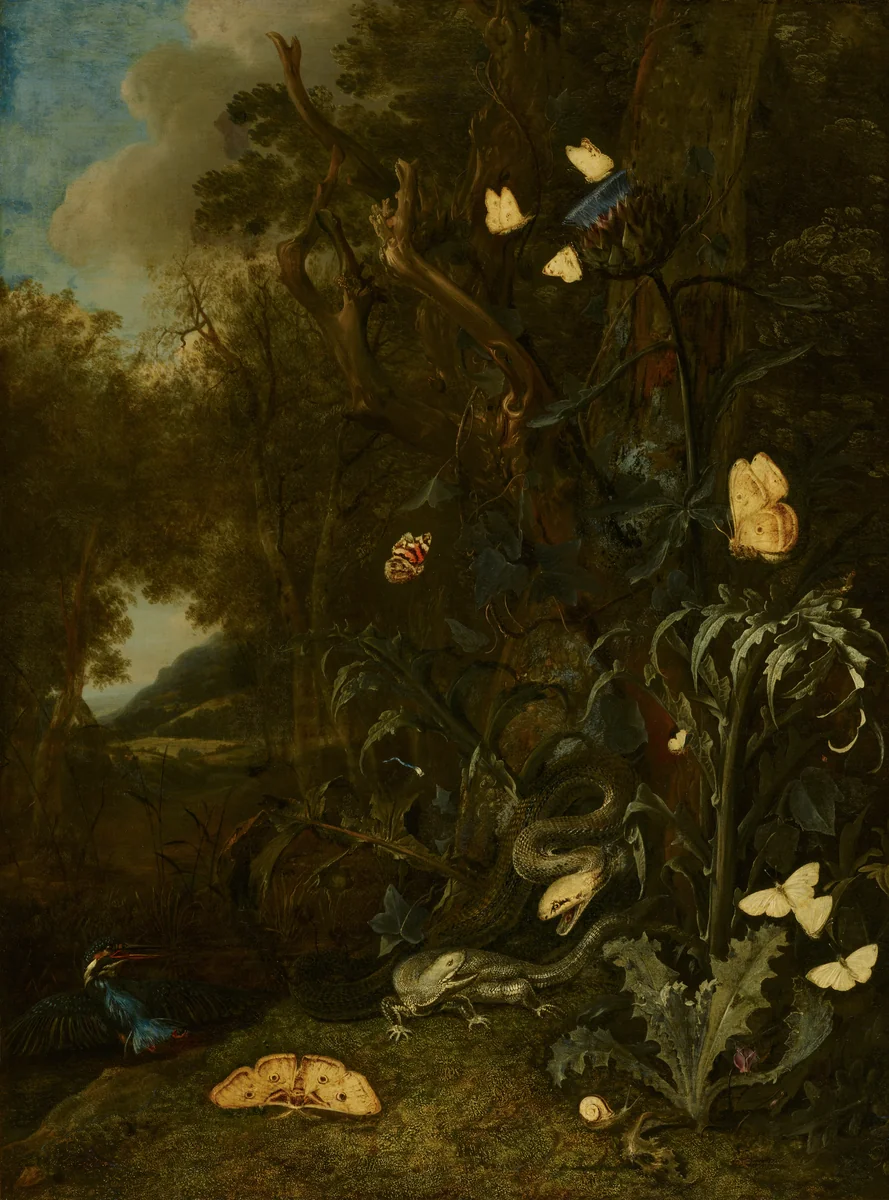 Plants and Insects by Otto Marseus van Schrieck, painting, 1665