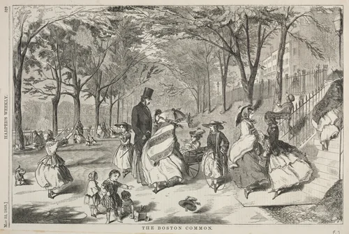 The Boston Common by Winslow Homer, print, 1858