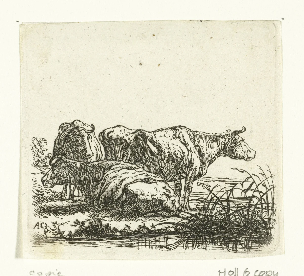 Drie koeien by anonymous, print, 1630-1691