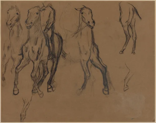 Study of Horses by Edgar Degas, drawing, 1886