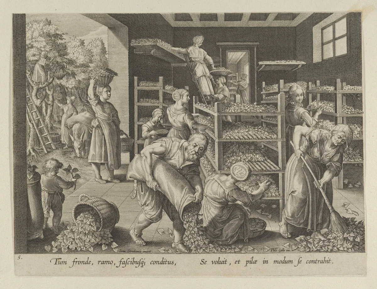 The Gathering of Mulberry Leaves and the Feeding of the Silkworms, Plate 5 from "The Introduction of the Silkworm" [Vermis Sericus] by Karel van Mallery, print, 1595