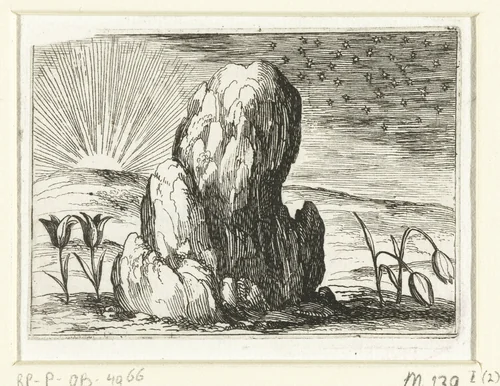 Tulpen en de zon by Jacques Callot, print, 1621-1635