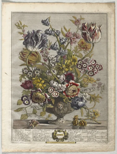 Twelve Months of Flowers: April by Henry Fletcher, print, 1730