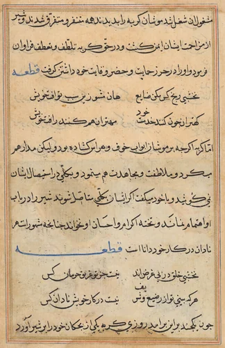 Page from Tales of a Parrot (Tuti-nama): text page by Unknown, painting, 1555-1565