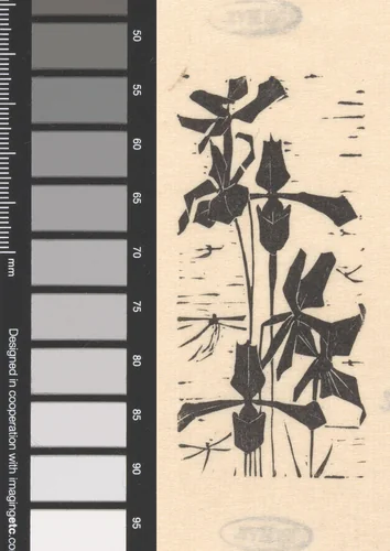 Orchideeën by Mathieu Lauweriks, print, 1895