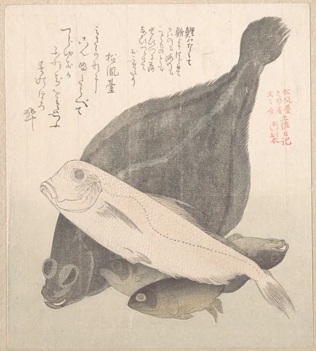 Flounder and Other Fishes by Kubo Shunman (窪俊満), print, 1800-1899