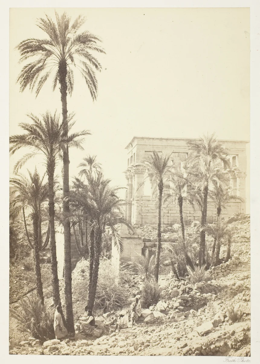 Group of Palms by Francis Frith, photograph, 1858-1862