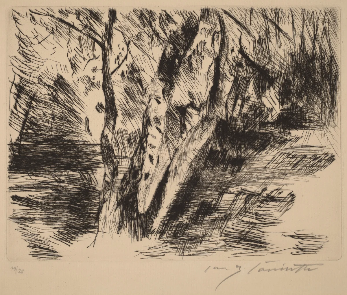 Birkenstämme im Tiergarten (Birch Trees in the Tiergarten) by Lovis Corinth, print, 1920-1921
