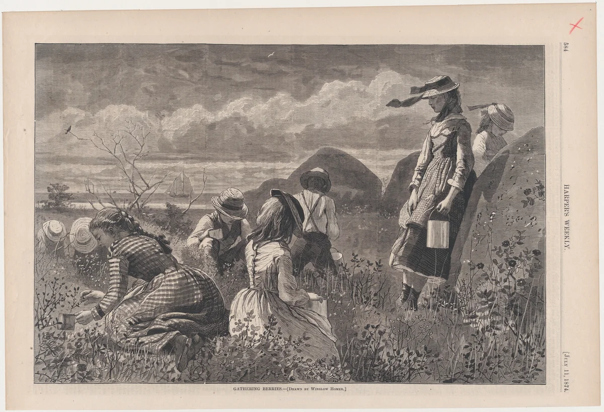 Gathering Berries (from "Harper's Weekly," Vol. XVIII) by Winslow Homer, print, 1874