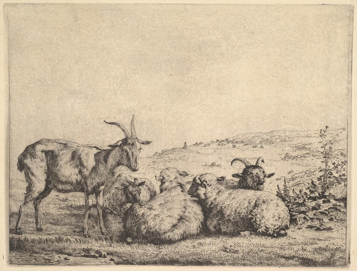 Two Goats and Three Sheep by Karel Dujardin, print, 1655