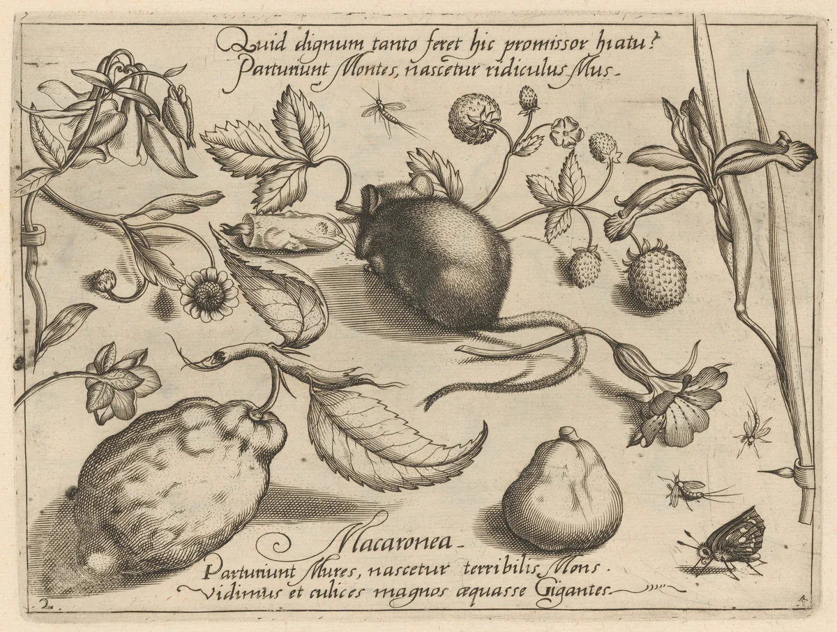 Archetypa studiaque patris Georgii Hoefnagelii [Part 4, Plate 2] by Jacob Hoefnagel; Joris Hoefnagel, print, 1592