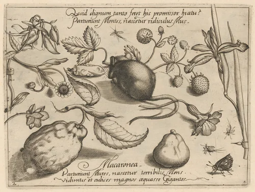 Archetypa studiaque patris Georgii Hoefnagelii [Part 4, Plate 2] by Jacob Hoefnagel; Joris Hoefnagel, print, 1592