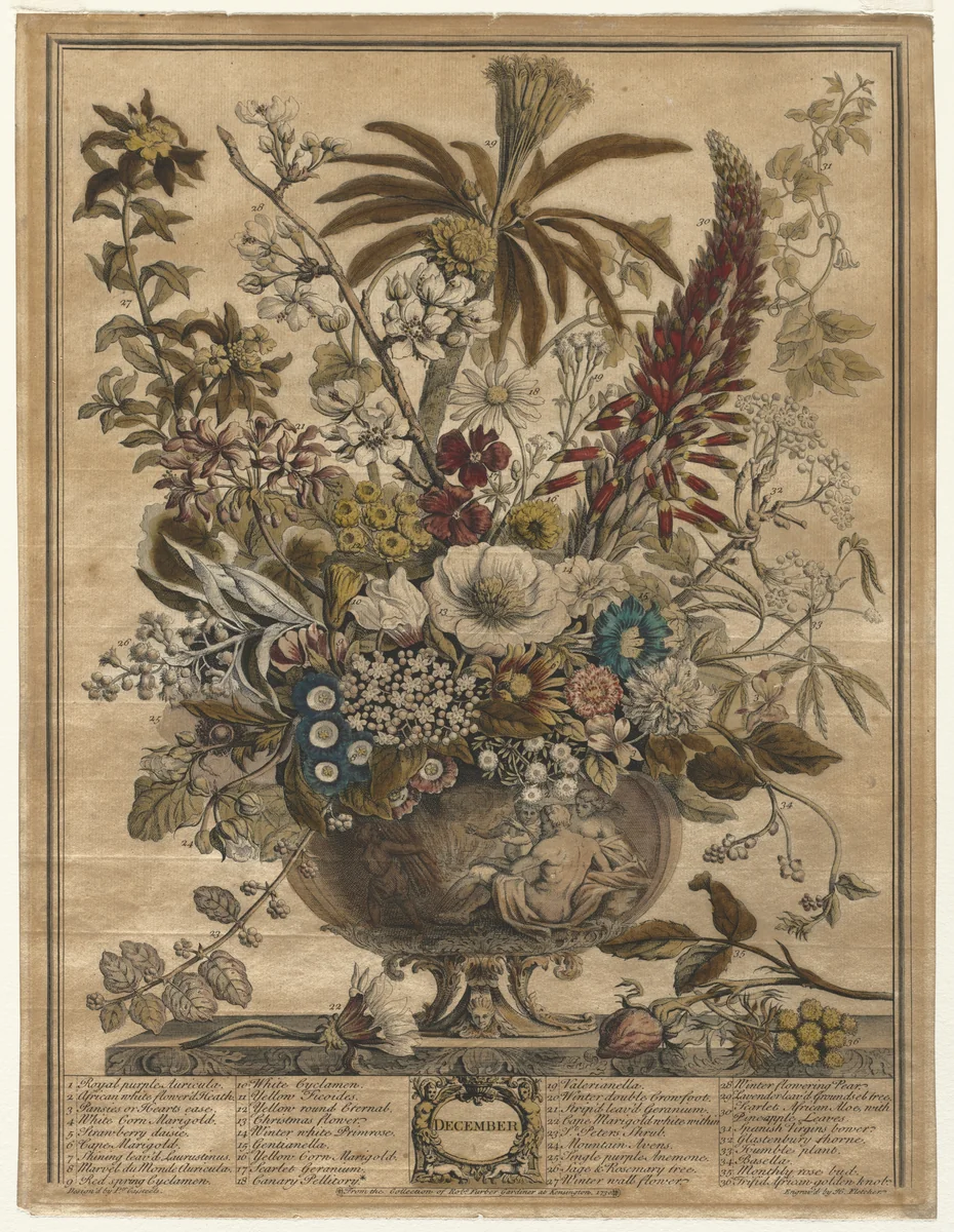 Twelve Months of Flowers: December by Henry Fletcher, print, 1730