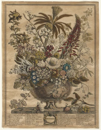 Twelve Months of Flowers: December by Henry Fletcher, print, 1730
