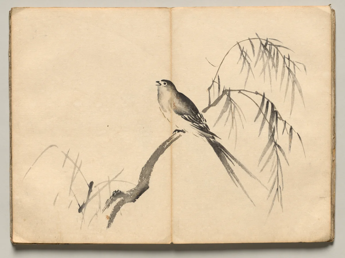 Warbler from Ōkyo Picture Book by Maruyama Ōkyo (円山応挙), book, 1850
