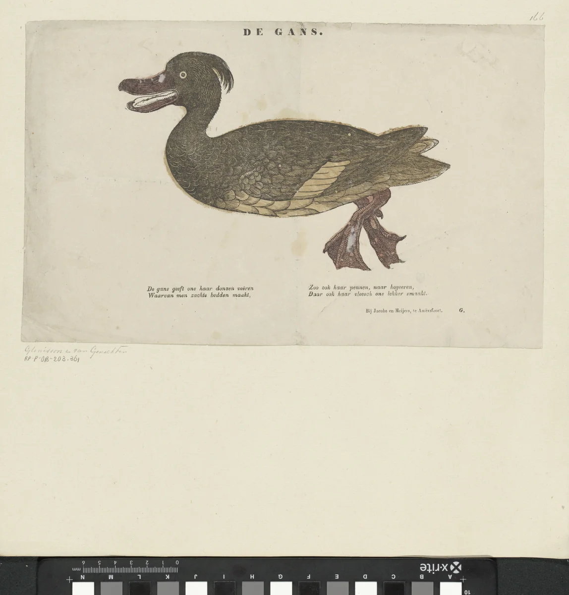 De gans by Unknown, print, 1555