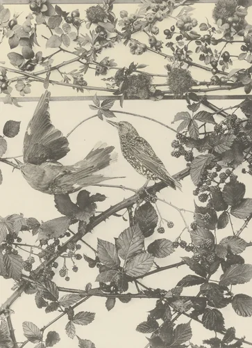 Page from Festons und Dekorative Gruppen by Unidentified Photographer, photograph, 1893