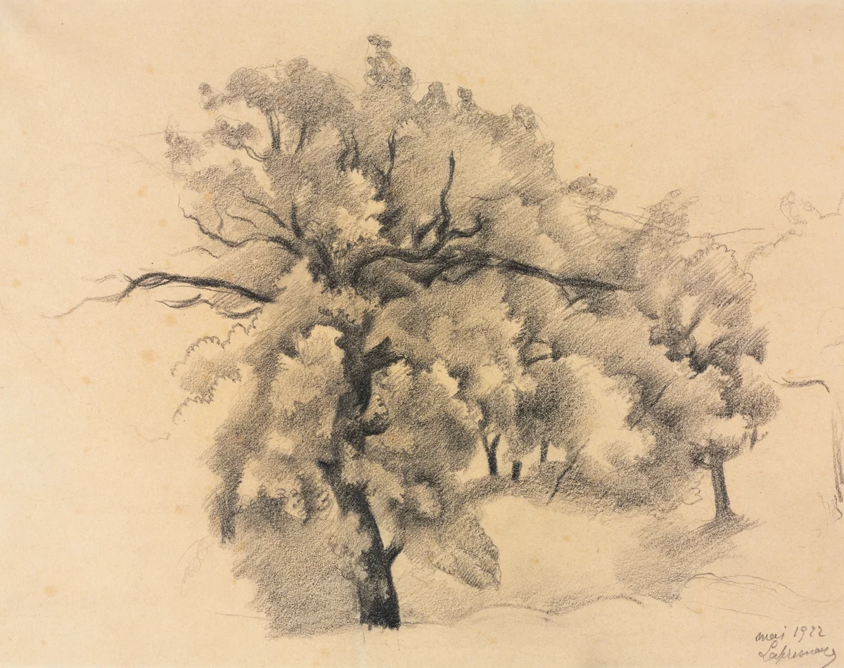 Study of Trees by Roger de La Fresnaye, drawing, 1922