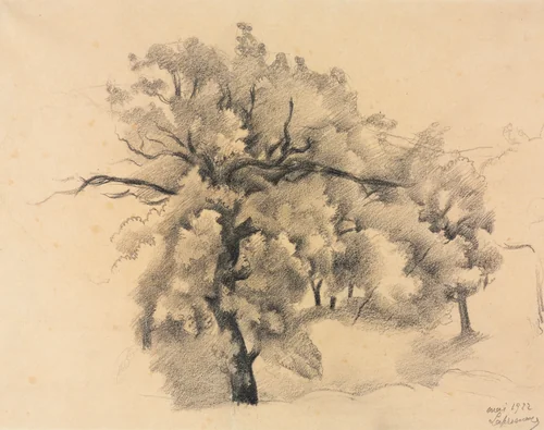 Study of Trees by Roger de La Fresnaye, drawing, 1922