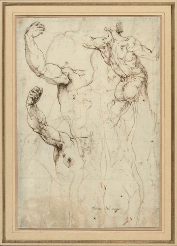 Study of a Nude Seen from the Back, and Two Studies of an Arm (recto); Nude Seen from the Back, with Subsidiary Studies of a Shoulder and Leg (verso) by Perino del Vaga, drawing, 1528