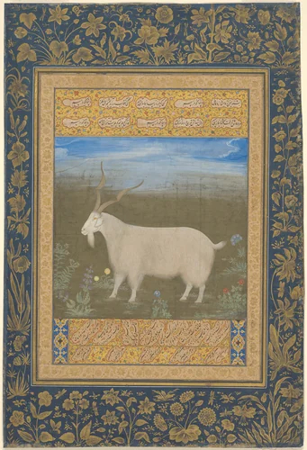 Portrait of a Ladakhi Mountain Goat by India, painting, 1601-1625