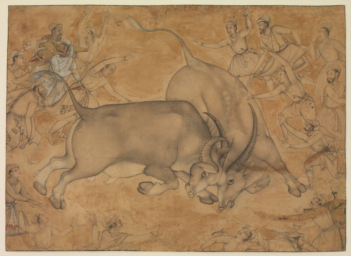 Buffaloes in Combat by Miskin, manuscript, 1575-1599