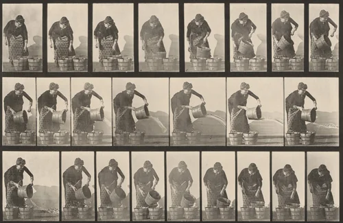 Plate Number 403. Emptying a bucket of water by Eadweard Muybridge, photograph, 1887