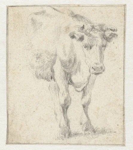 Studie van een koe by Dirk Stoop, drawing, 1628-1681