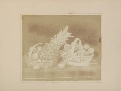 A Fruit Piece by William Henry Fox Talbot, photograph, 1844-1846
