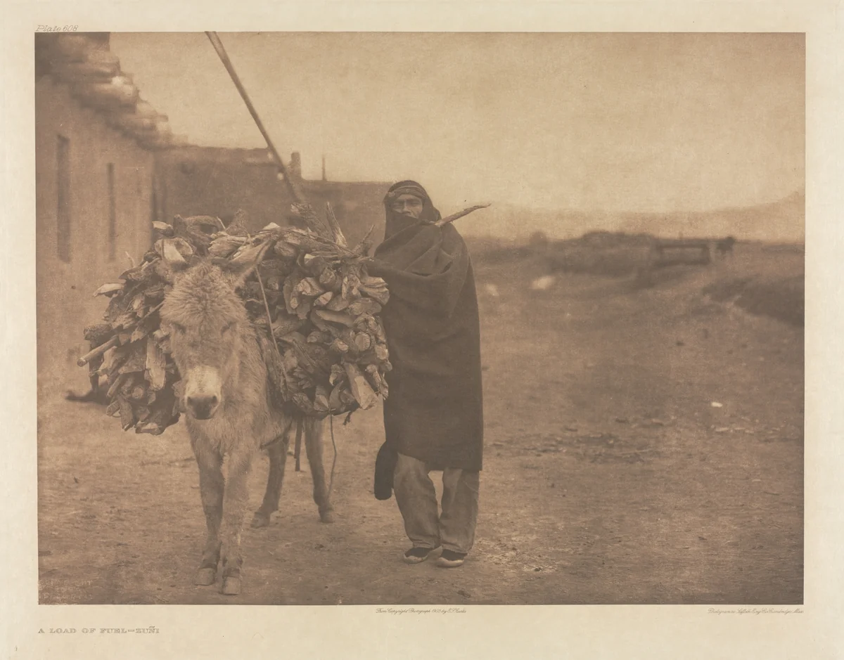 Portfolio XVII, Plate 608: A Load of Fuel - Zuñi by Edward Curtis, other, 1903