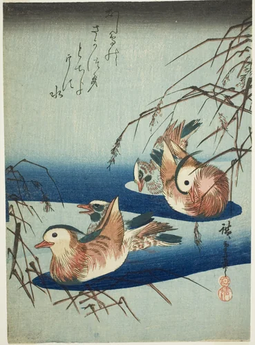Mandarin ducks by Utagawa Hiroshige (歌川広重), print