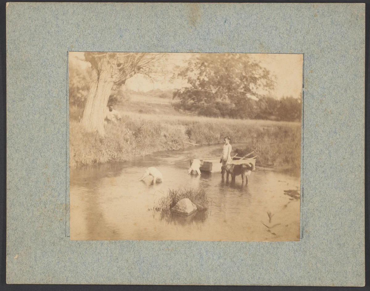 [Three Children and a Dog Playing in the Creek, July 4, 1883] by Thomas Eakins, photograph, 1883