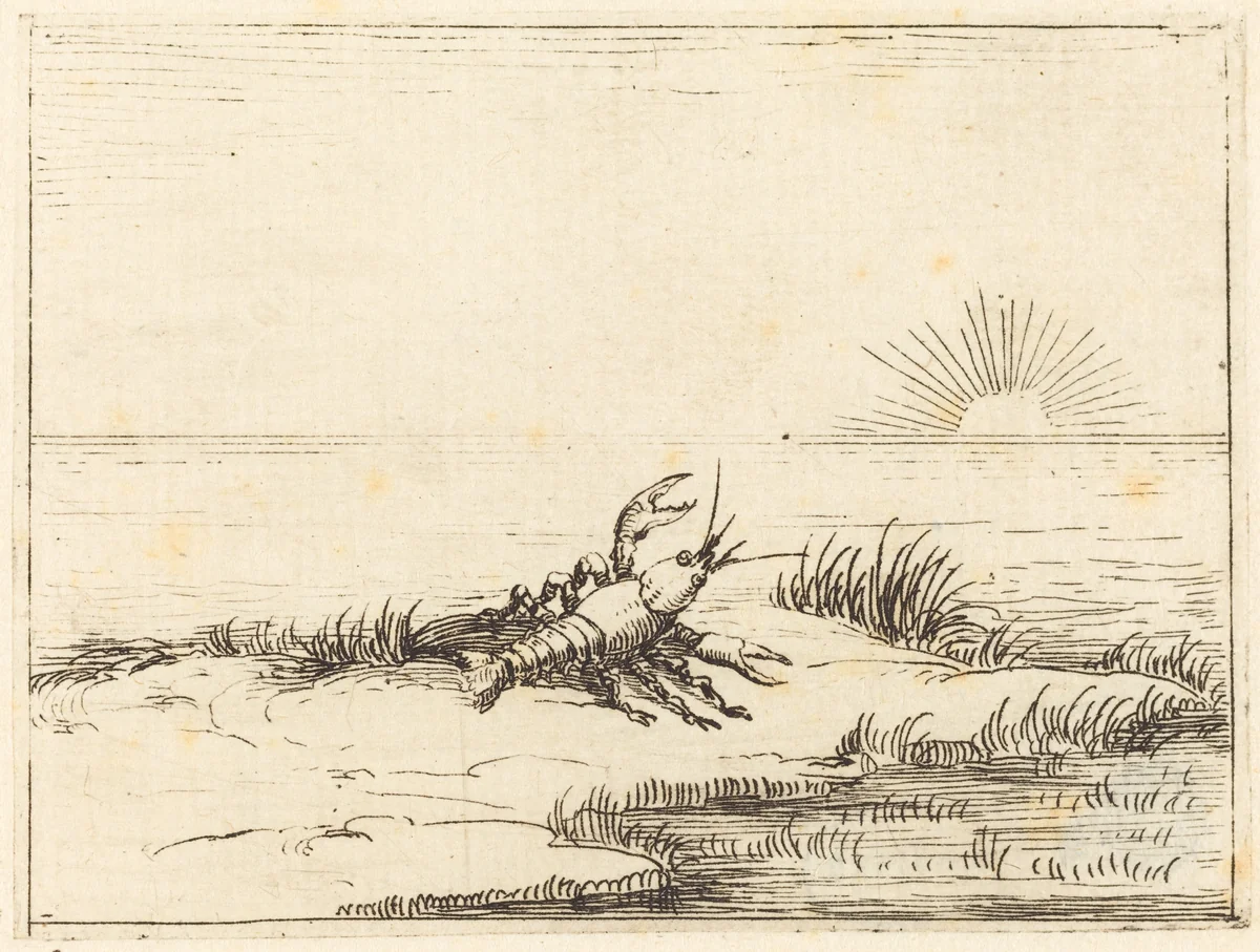 Crayfish Looking at the Sun by Jacques Callot, print, 1628