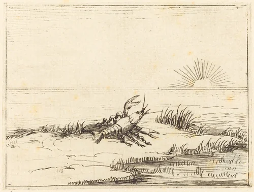 Crayfish Looking at the Sun by Jacques Callot, print, 1628