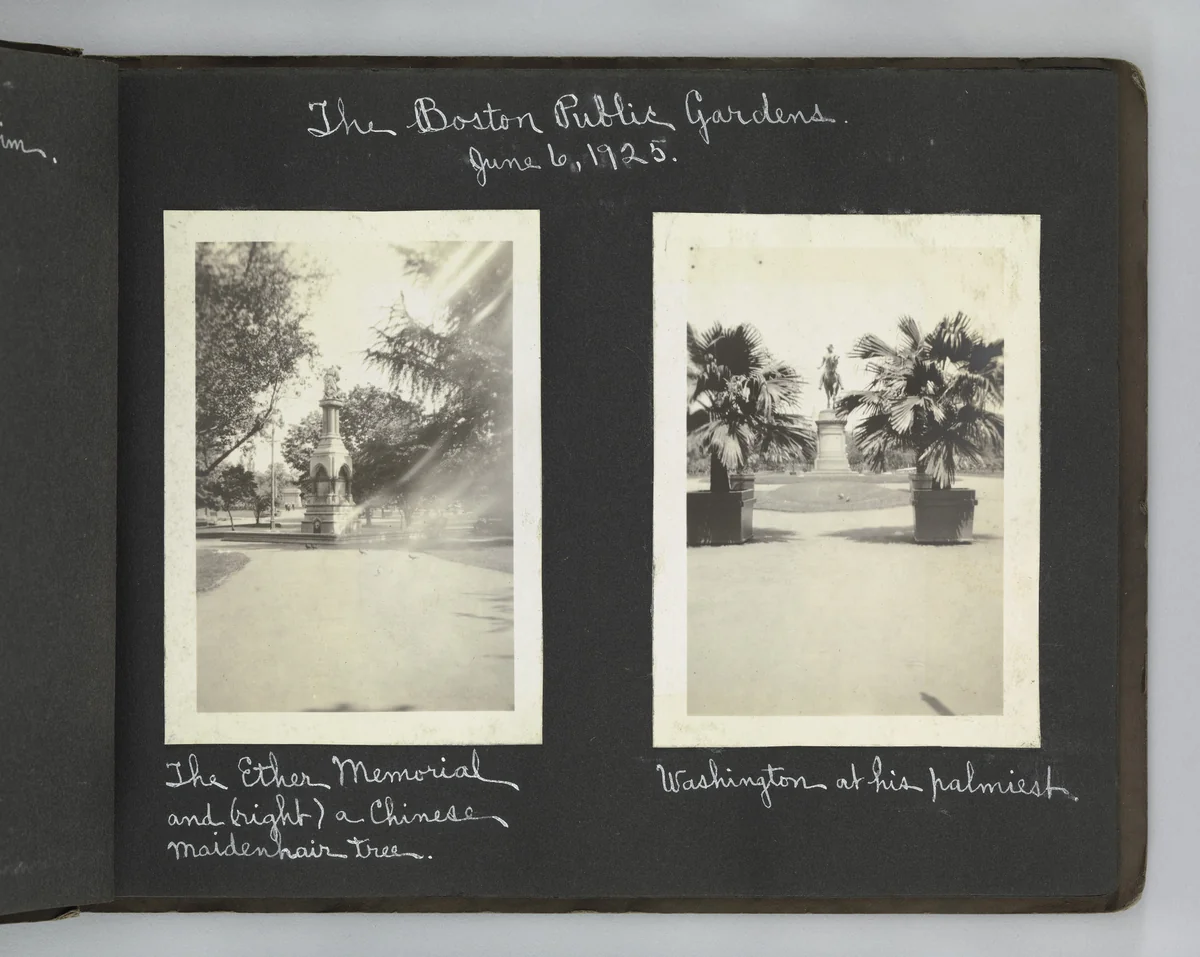 Untitled by Unidentified Photographer, photograph, 1924