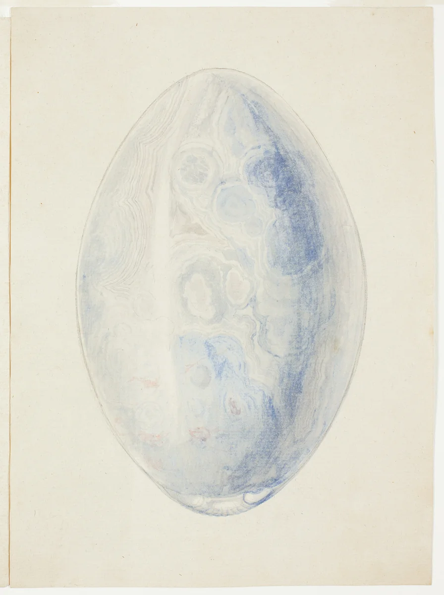 Overview of Oval Shell Stone by Giuseppe Grisoni, painting, 1719-1769
