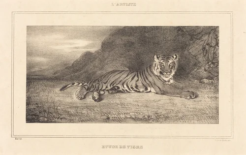 Study of a Tiger by Antoine-Louis Barye, print, 1795-1875