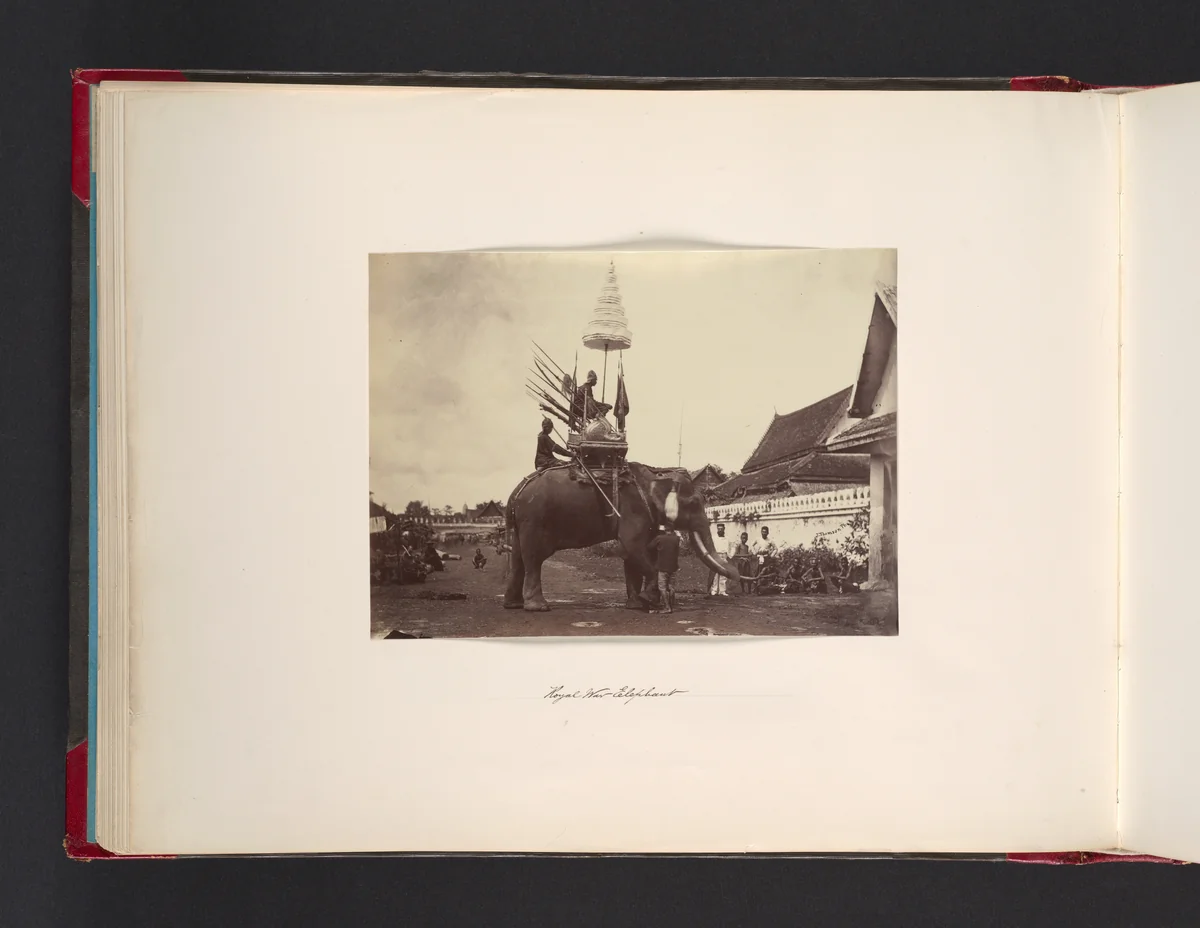Royal Wat Elephant by John Thomson, photograph, 1865