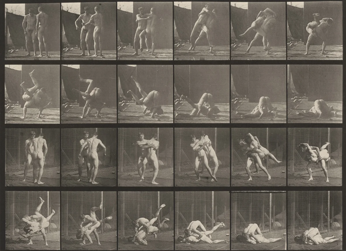 Plate Number 348. Wrestling, Graeco-Roman by Eadweard Muybridge, photograph, 1887