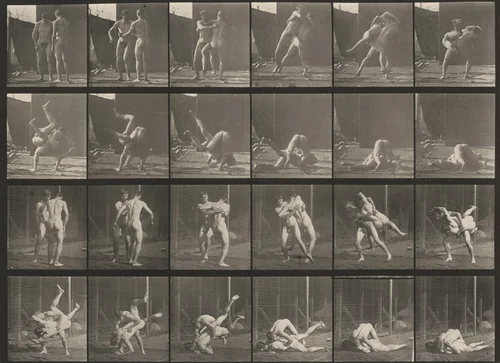 Plate Number 348. Wrestling, Graeco-Roman by Eadweard Muybridge, photograph, 1887