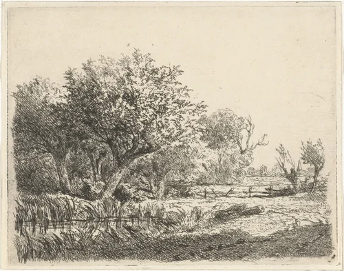 Wilgen bij een poel by Adrianus van Everdingen, print, 1842-1882