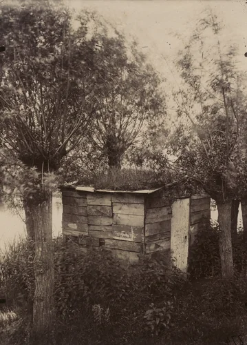 Untitled [Hut Among Willows] by Eugène Atget, photograph, 1898